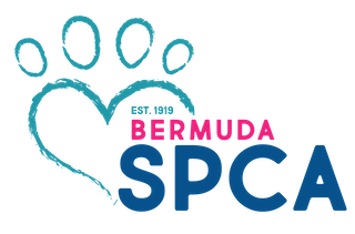 Bermuda SPCA